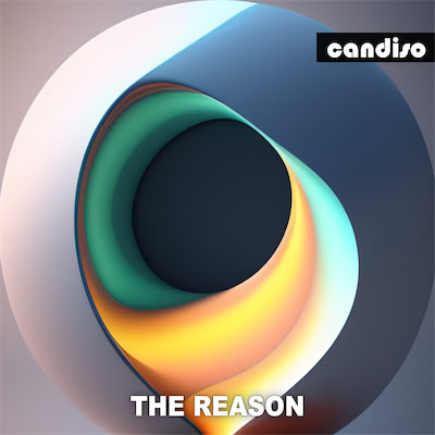The Reason